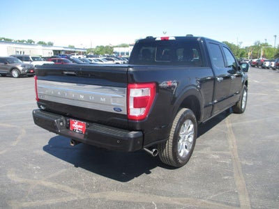 2023 Ford F-150 Platinum